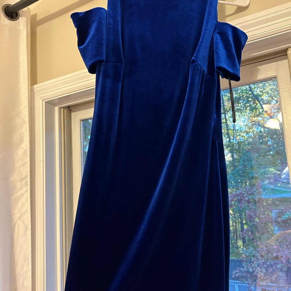 Never wore velvet dress